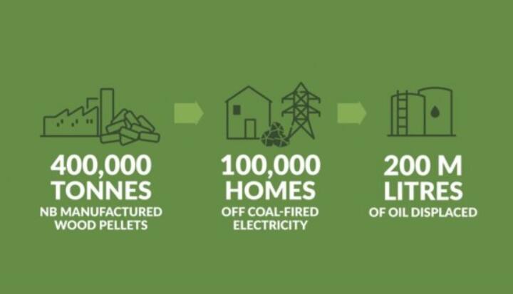 全球48%的木屑顆粒消費(fèi)來自住宅和商業(yè)建筑。從2020年到2021年，歐洲家庭生物質(zhì)消費(fèi)量增長了18%，商業(yè)應(yīng)用增長了12.5%。