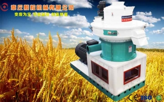 中國(guó)創(chuàng)新提速，綠色經(jīng)濟(jì)之離心高效環(huán)模顆粒機(jī)