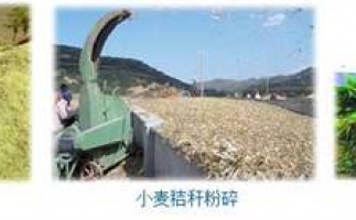 農(nóng)民科學(xué)發(fā)展新思路，秸稈綜合利用成為賺錢好門路之秸稈顆粒機(jī)