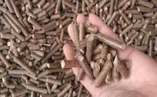 鋸末顆粒機(jī)生物質(zhì)燃料與燃煤對(duì)比情況如何？