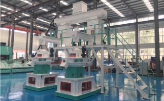 木屑顆粒機(jī)多少錢一臺?建顆粒廠大約多少錢？