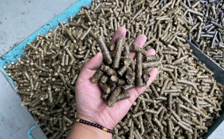 木屑顆粒機廠家告訴你生物質(zhì)顆粒燃料燃燒不充分的問題，該如何解決?