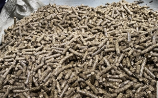 鋸末顆粒機(jī)的顆粒燃料比煤炭貴，為什么還有那么多人用？